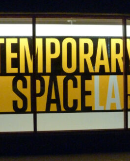 Temporary Space LA: Creating An Alternative Art Economy For Mid-Career And Late-Career Artists
