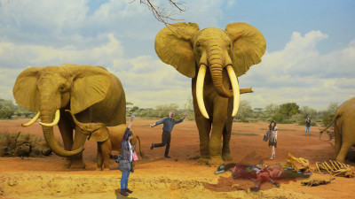 The Sorry Story of the Savage Safari